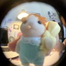 카페0124