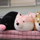 대승침구 이미지