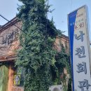 속초냉면 | 속초 청초호 맛집 낙천회관 홍게냉면 수육 세트 후기