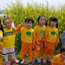 이솝예술어린이집 이미지