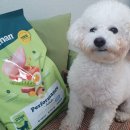 말랑독 | 이즈칸 독 퍼포먼스 어덜트 생육사료 생생체험 후기