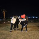 삼대한채 이미지