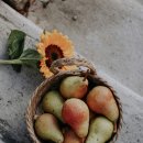 영양순대국 이미지