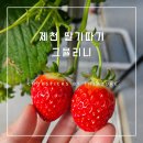 그뮬리니