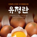 유정란