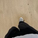 금일해당화해변 이미지