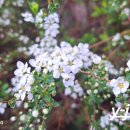 산책길에 이미지