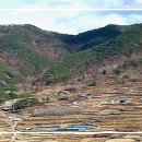 세월이 머무는 마을 / 靑山 손병흥 이미지