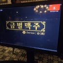 응암역 술집 : 금별맥주 응암오거리점, 와산상회 내돈내산 솔직후기