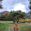 켄싱턴평창 이미지