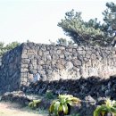 오소포연대 이미지