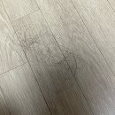 더하르헤어 - 안산시 단원구 화정로1길 23 | 모발 건강, 탈모 개선을 위해 선택한 맥주효모 샴푸 "글랜젠데스 하르 비어 샴푸"
