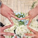 [종로 예물 내돈내산] 발품 20곳 끝에 찾은 효성주얼리시티 '조이아주얼리' 졸업 후기 (feat.자개웨딩반지)
