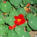 뚝길따라 이미지