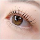 선브로우 이미지