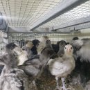 청계유통 이미지