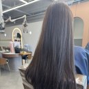하우헤어 이미지