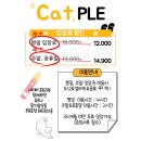 고양이PC&카페 | 천안 아산 데이트 아이랑 실내 가볼만한곳 깨끗한 불당동 캣플