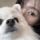 학현4길 이미지