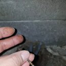 낙생초등학교 이미지