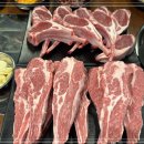 양꼬치 사랑 양갈비 이미지