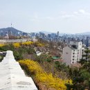 행촌