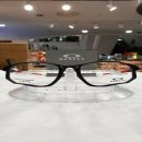 트랜디카 이미지