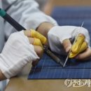 태양기업
