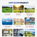 알파골프
