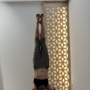 요가파라미타