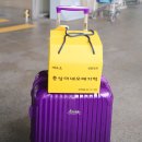 제주탐나오메기떡 이미지