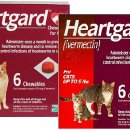 일산동물약국 이미지