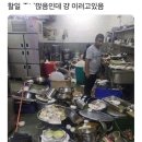 농협사료경북지사 구내식당 | LH 한국토지주택공사 인턴 2주차 근무후기 🐣