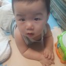237마트 이미지
