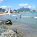 스토리펫(Story pet) 이미지