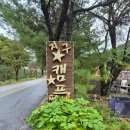 나무그늘 밑의 휴식 | 영월 지구별캠프 2박 3일 후기