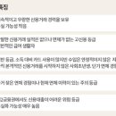 신용카드 등급, 점수 부심을 부려보자. (조회 정보) 이미지