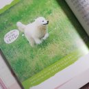 미르의 언덕 이미지