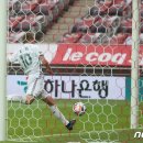 토미골 이미지