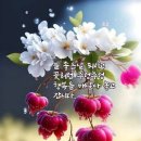 '﻿여보'란 뜻은? 이미지