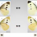 (다살이) 21. 먹이경쟁을 피하는 유충과 성충의 지혜 이미지