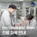 VIP동물의료센터 동대문점 | 인천SKY동물메디컬센터(스카이동물병원)진료 과목 및 의료진 안내