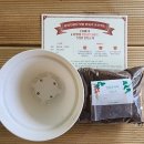 일광노인복지관 이미지