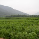 한다리농장 이미지