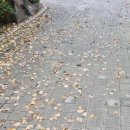 마마우동 이미지