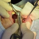 최광식치과의원 이미지