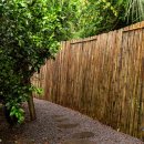 택하다, 스테이 이미지