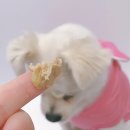 수비드연구소 이미지
