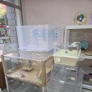 부산신호사랑으로부영5차 상가 | 부산골든햄스터 분양 행복햄에서 받았어요!