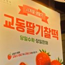 안례찰떡